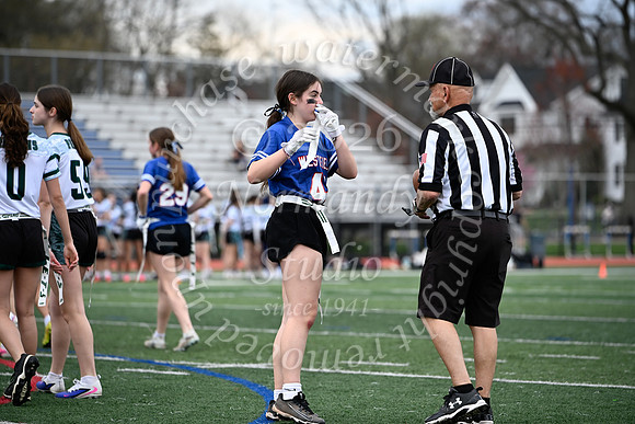 WHS_flag_fb_jv_4