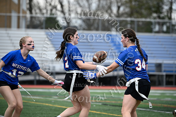 WHS_flag_fb_jv_2