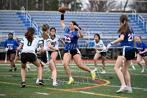 WHS_flag_fb_jv_5