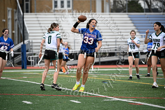 WHS_flag_fb_jv_7