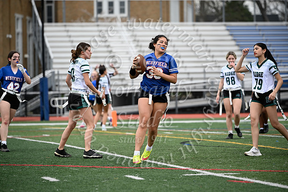 WHS_flag_fb_jv_8
