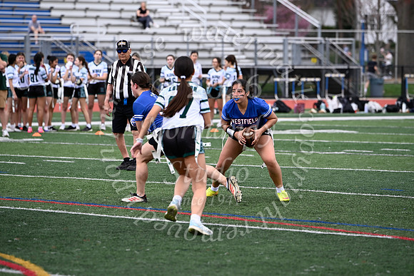 WHS_flag_fb_jv_10