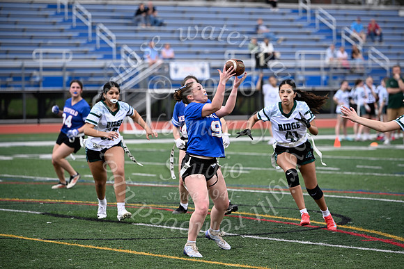 WHS_flag_fb_jv_12