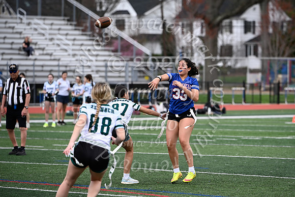 WHS_flag_fb_jv_11