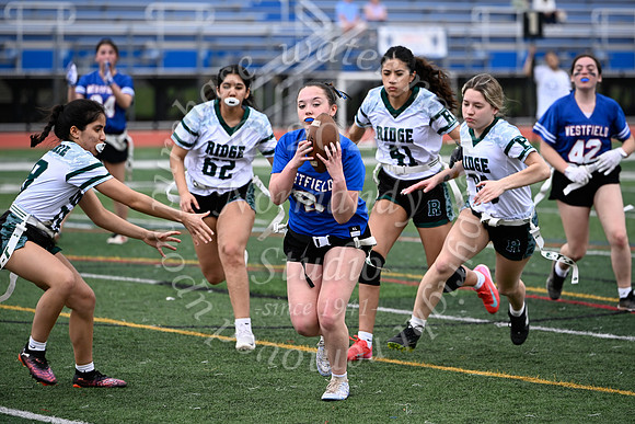 WHS_flag_fb_jv_14