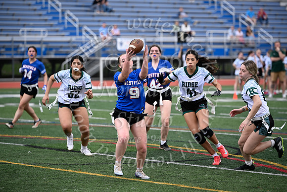 WHS_flag_fb_jv_13