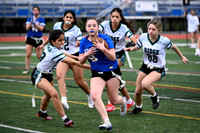 WHS_flag_fb_jv_15