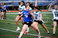WHS_flag_fb_jv_16
