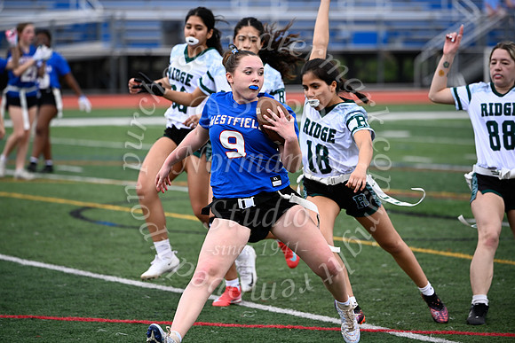 WHS_flag_fb_jv_16