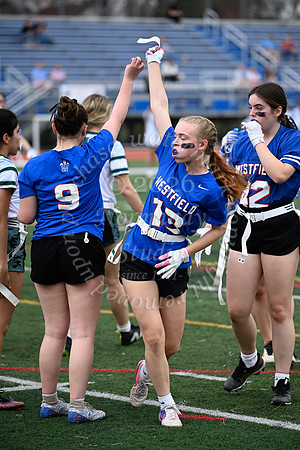 WHS_flag_fb_jv_17