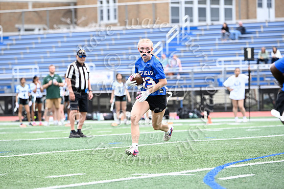 WHS_flag_fb_jv_24