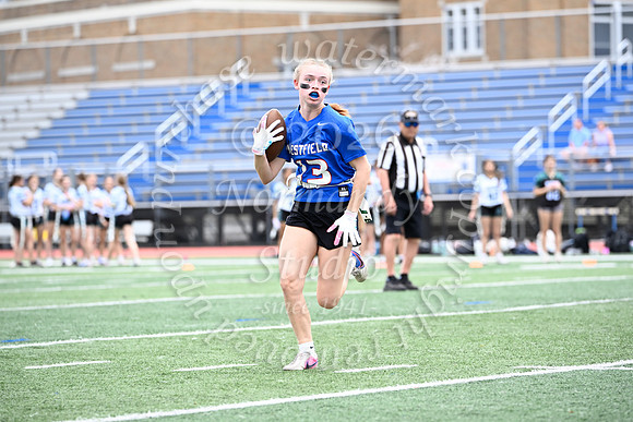 WHS_flag_fb_jv_25