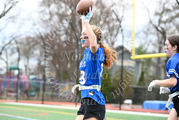 WHS_flag_fb_jv_29
