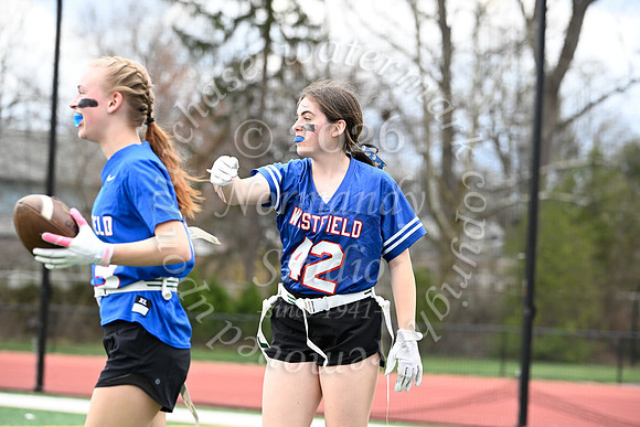 WHS_flag_fb_jv_28