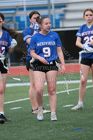 WHS_flag_fb_jv_31