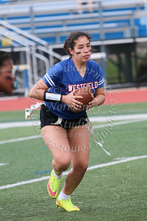 WHS_flag_fb_jv_33