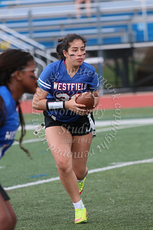 WHS_flag_fb_jv_34