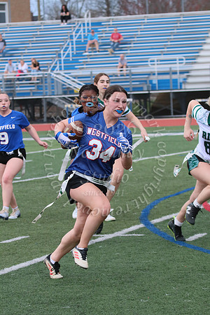 WHS_flag_fb_jv_36