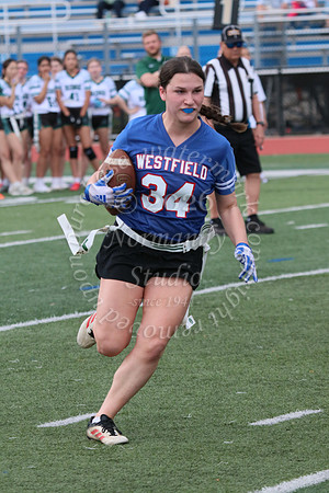 WHS_flag_fb_jv_35