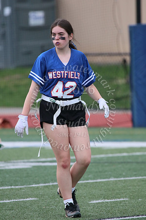 WHS_flag_fb_jv_40