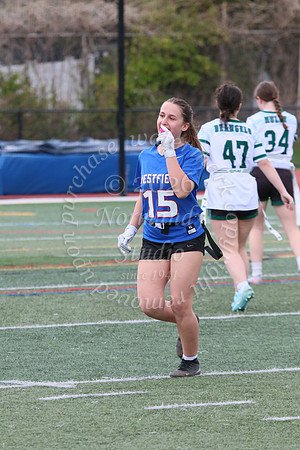 WHS_flag_fb_jv_42