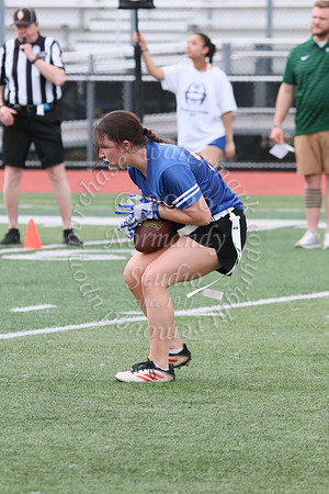 WHS_flag_fb_jv_44