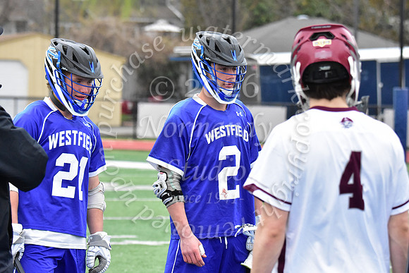 WHS_lc_b_v_41
