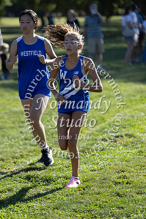 WHS_cc-g_40