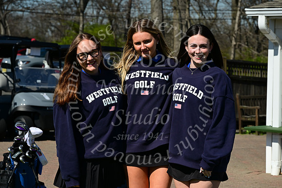 WHS_go-g_1