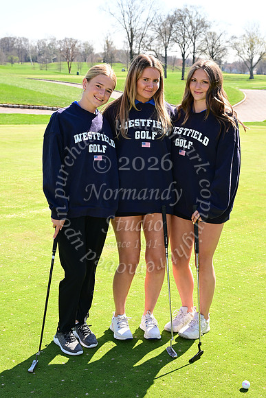 WHS_go-g_13