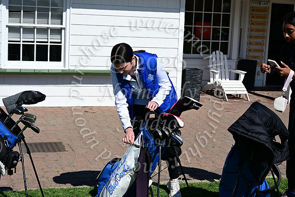 WHS_go-g_18