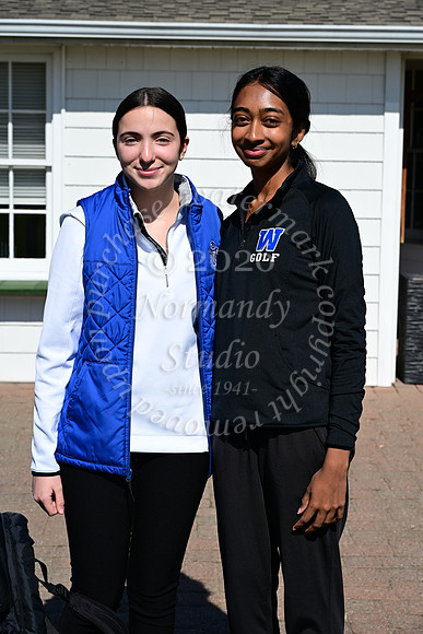 WHS_go-g_20