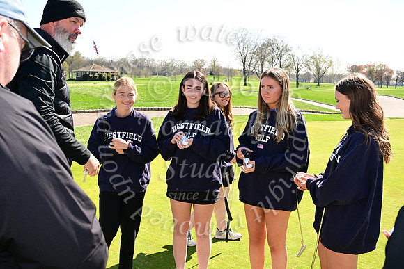 WHS_go-g_24
