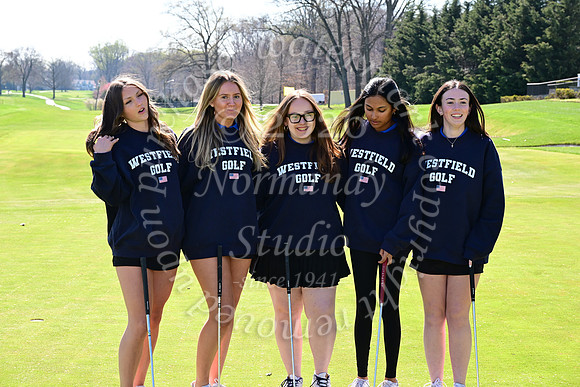 WHS_go-g_26