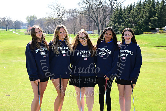 WHS_go-g_27