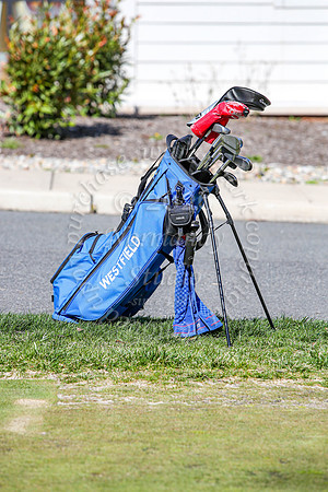 WHS_go-b_21