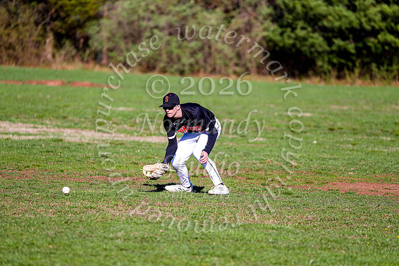 SVL_bb-jv_12