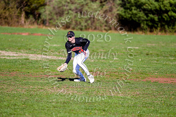 SVL_bb-jv_13