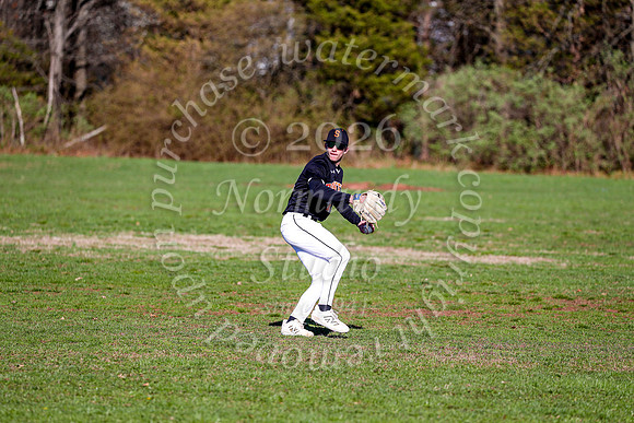 SVL_bb-jv_15