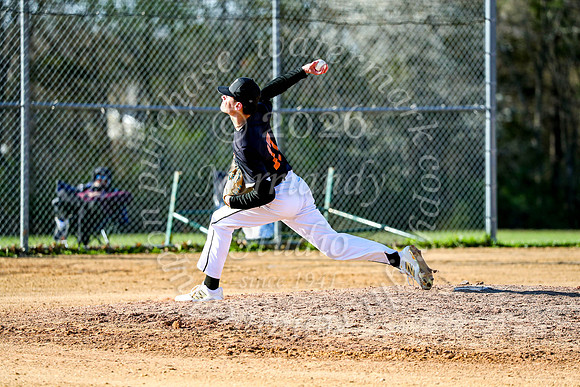SVL_bb-jv_40