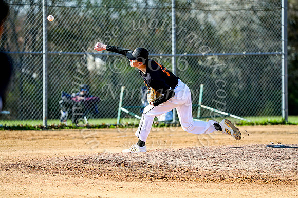 SVL_bb-jv_41
