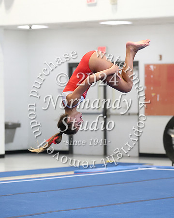 MNP_gy_33