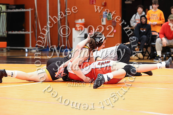 SVL_wr-g_23
