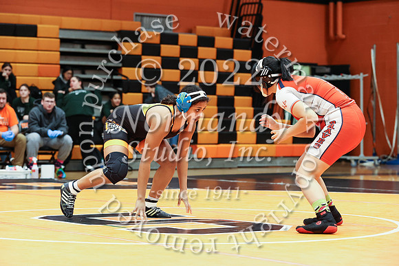 SVL_wr-g_37