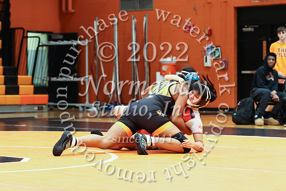 SVL_wr-g_38
