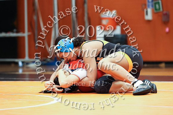 SVL_wr-g_39