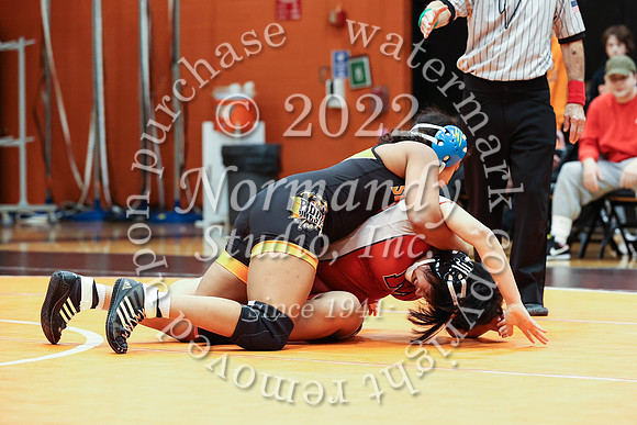 SVL_wr-g_42