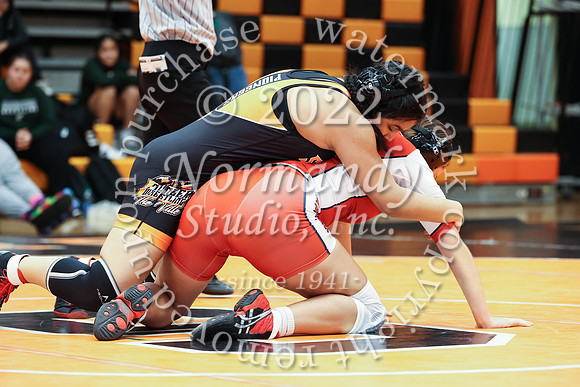 SVL_wr-g_49