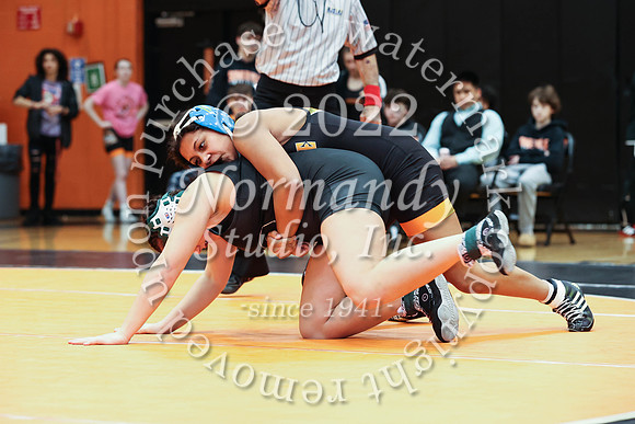 SVL_wr-g_61