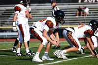 SVL_fb-f_04